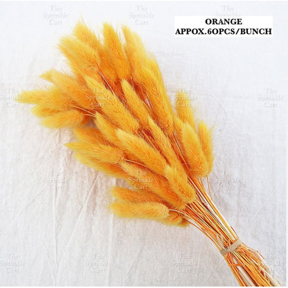 Natural Dried Bunny Tails Flower Bunch Reed Grass Dried Palm Leaf Wedding Decoration Artificial TSC