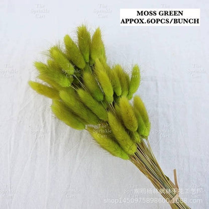 Natural Dried Bunny Tails Flower Bunch Reed Grass Dried Palm Leaf Wedding Decoration Artificial TSC