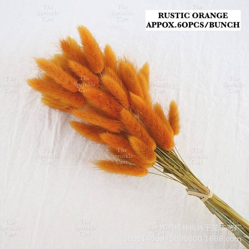 Natural Dried Bunny Tails Flower Bunch Reed Grass Dried Palm Leaf Wedding Decoration Artificial TSC