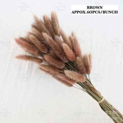 Natural Dried Bunny Tails Flower Bunch Reed Grass Dried Palm Leaf Wedding Decoration Artificial TSC