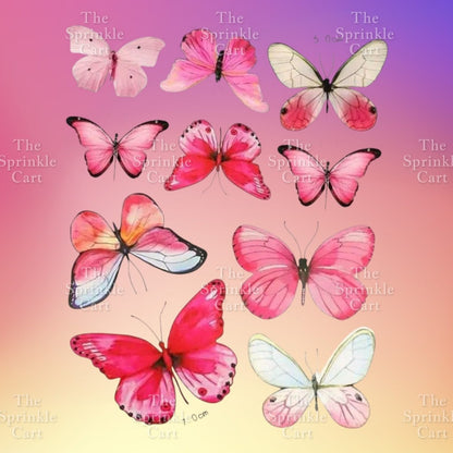 Butterfly Fan Girl Cake Topper Decoration TSC