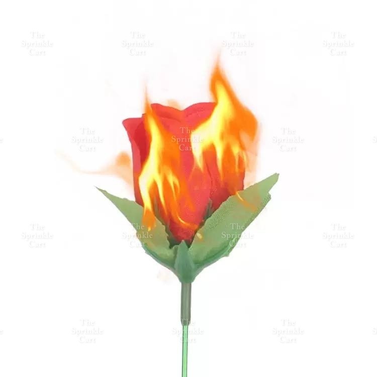 Torch to Fire Rose Magic Party and Surprise Props TSC