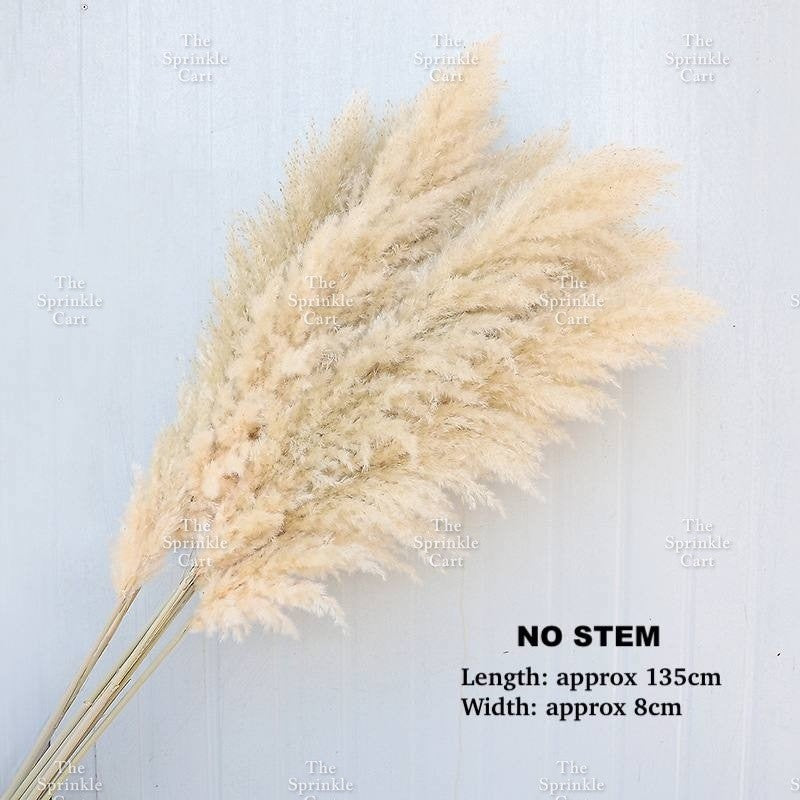 Natural Dried Grass Wheat Reed Kirin Pampas Millet for DIY Decoration TSC