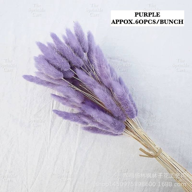 Natural Dried Bunny Tails Flower Bunch Reed Grass Dried Palm Leaf Wedding Decoration Artificial TSC