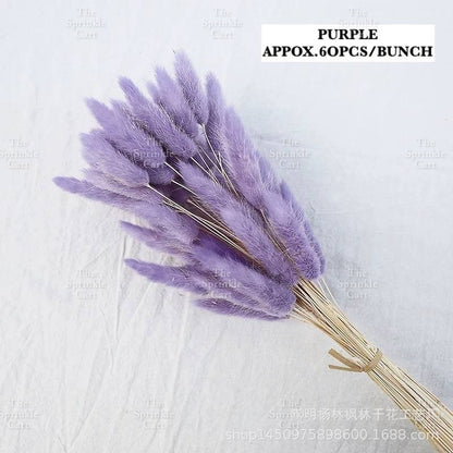 Natural Dried Bunny Tails Flower Bunch Reed Grass Dried Palm Leaf Wedding Decoration Artificial TSC