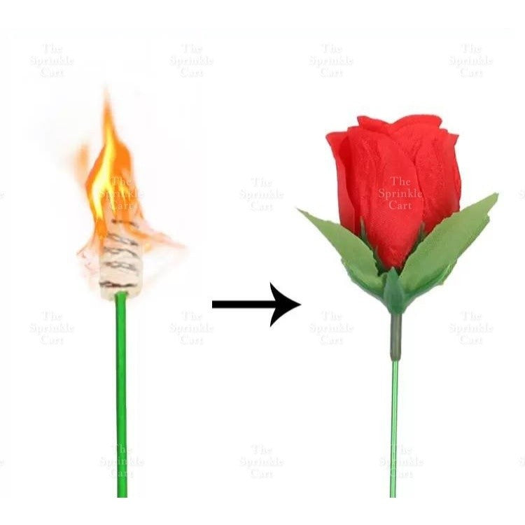 Torch to Fire Rose Magic Party and Surprise Props TSC