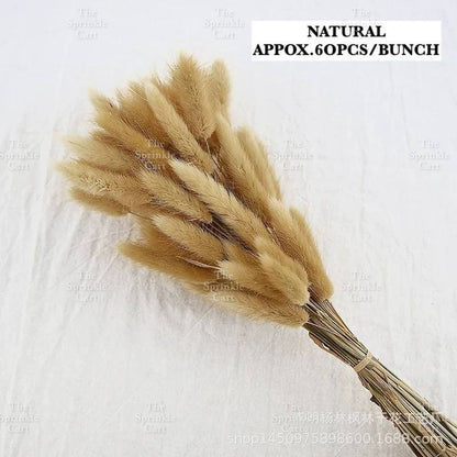 Natural Dried Bunny Tails Flower Bunch Reed Grass Dried Palm Leaf Wedding Decoration Artificial TSC