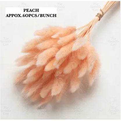 Natural Dried Bunny Tails Flower Bunch Reed Grass Dried Palm Leaf Wedding Decoration Artificial TSC