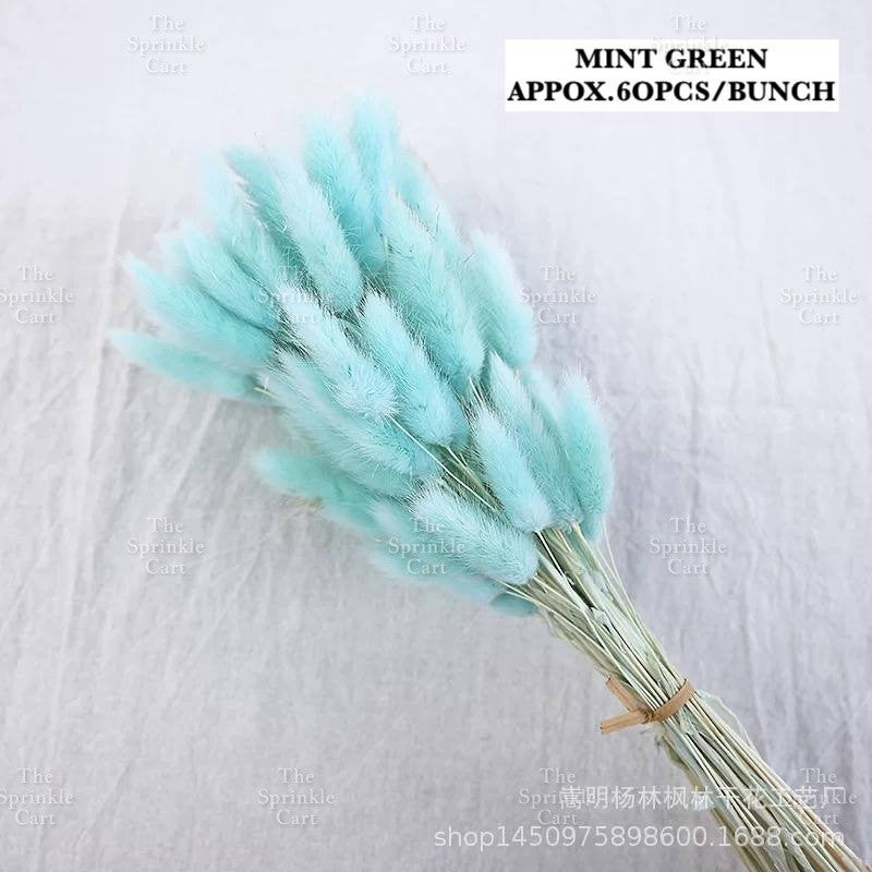 Natural Dried Bunny Tails Flower Bunch Reed Grass Dried Palm Leaf Wedding Decoration Artificial TSC