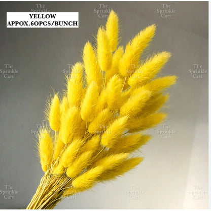 Natural Dried Bunny Tails Flower Bunch Reed Grass Dried Palm Leaf Wedding Decoration Artificial TSC