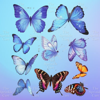 Butterfly Fan Girl Cake Topper Decoration TSC