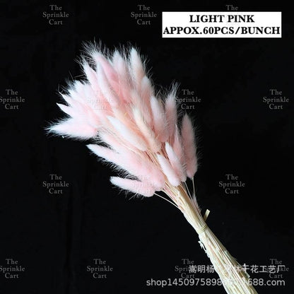Natural Dried Bunny Tails Flower Bunch Reed Grass Dried Palm Leaf Wedding Decoration Artificial TSC