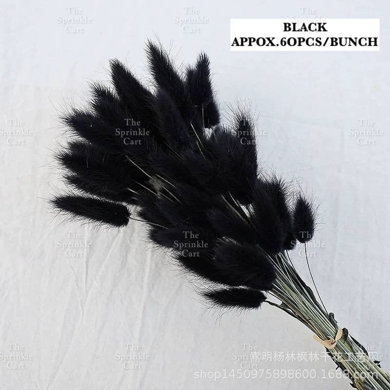 Natural Dried Bunny Tails Flower Bunch Reed Grass Dried Palm Leaf Wedding Decoration Artificial TSC