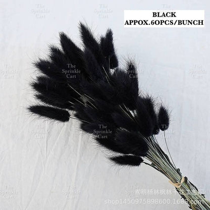 Natural Dried Bunny Tails Flower Bunch Reed Grass Dried Palm Leaf Wedding Decoration Artificial TSC