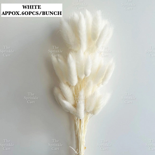 Natural Dried Bunny Tails Flower Bunch Reed Grass Dried Palm Leaf Wedding Decoration Artificial TSC