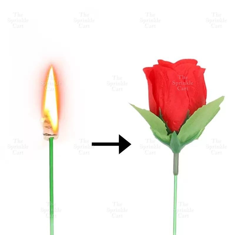 Torch to Fire Rose Magic Party and Surprise Props TSC