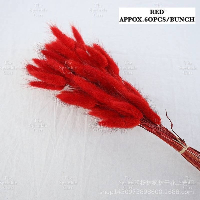 Natural Dried Bunny Tails Flower Bunch Reed Grass Dried Palm Leaf Wedding Decoration Artificial TSC