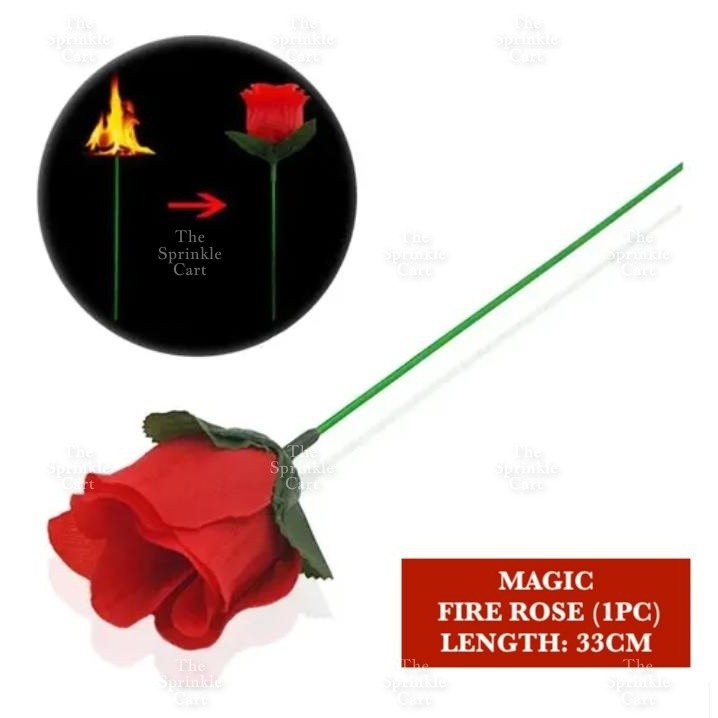 Interactive Educational and Fun Game Magic Props and Novelty Toy TSC