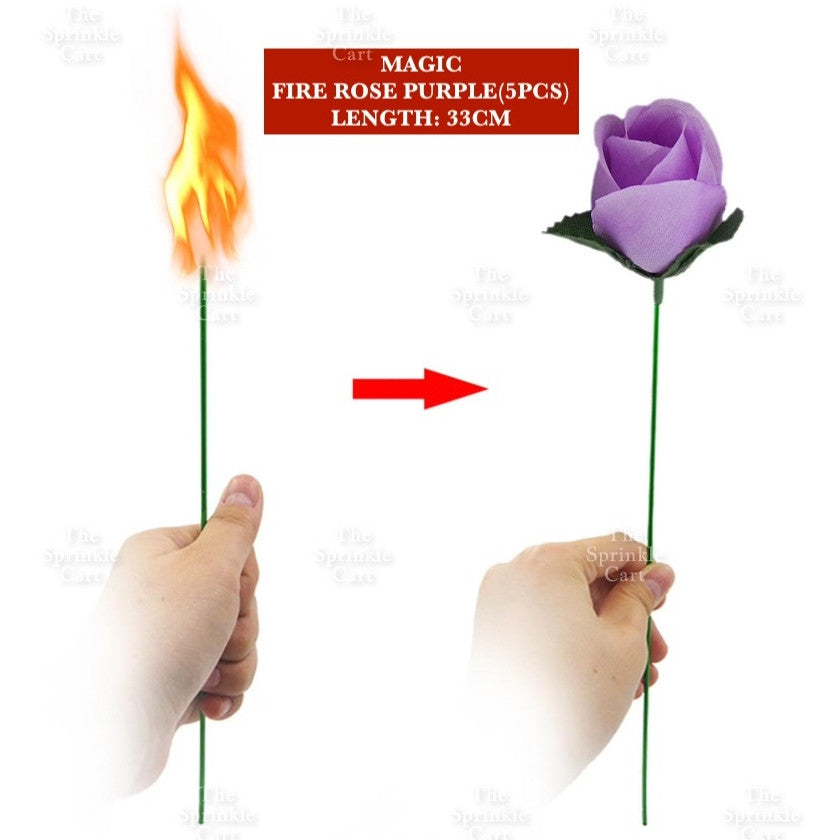 Interactive Educational and Fun Game Magic Props and Novelty Toy TSC