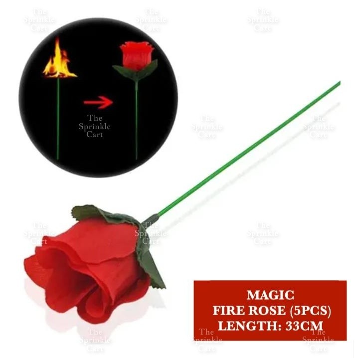 Interactive Educational and Fun Game Magic Props and Novelty Toy TSC