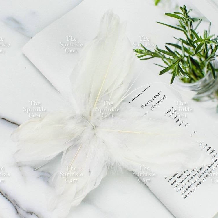 Feather Cake Topper Birthday Decoration TSC