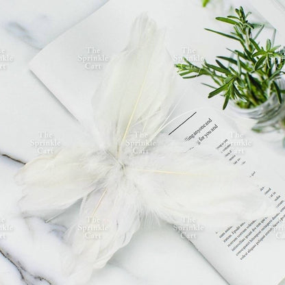 Feather Cake Topper Birthday Decoration TSC