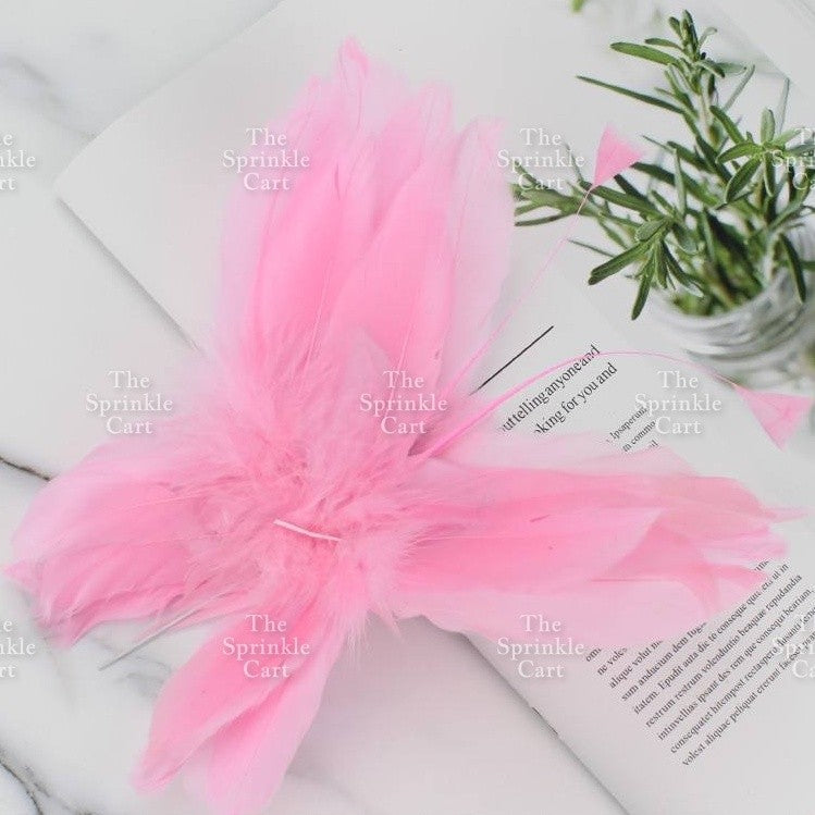 Feather Cake Topper Birthday Decoration TSC