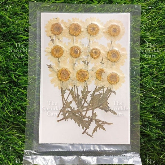 Pressed Dried Flowers DIY Artificial Assorted Flowers Leaf Resin Art Craft NOT FOR CAKES