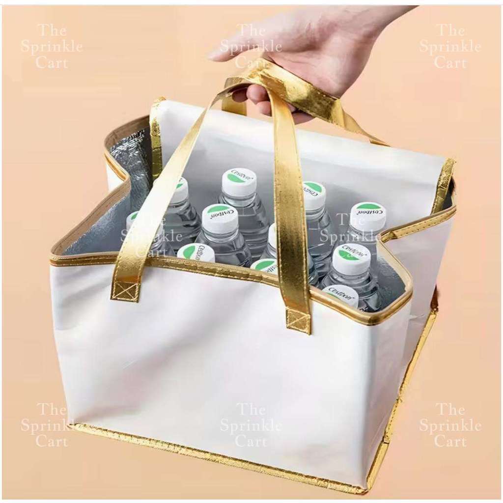 High Quality Reusable Insulated Takeout Bag for Cake Single and Tall Layer Packaging TSC